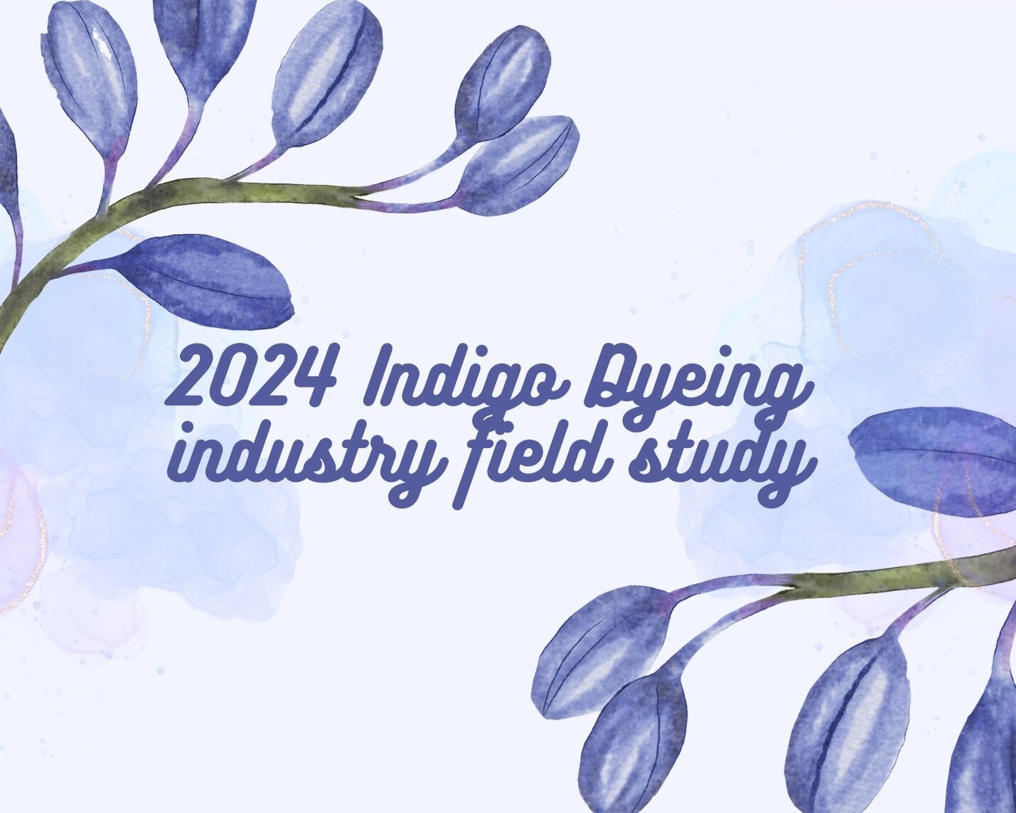 2024 Indigo Dyeing industry field study